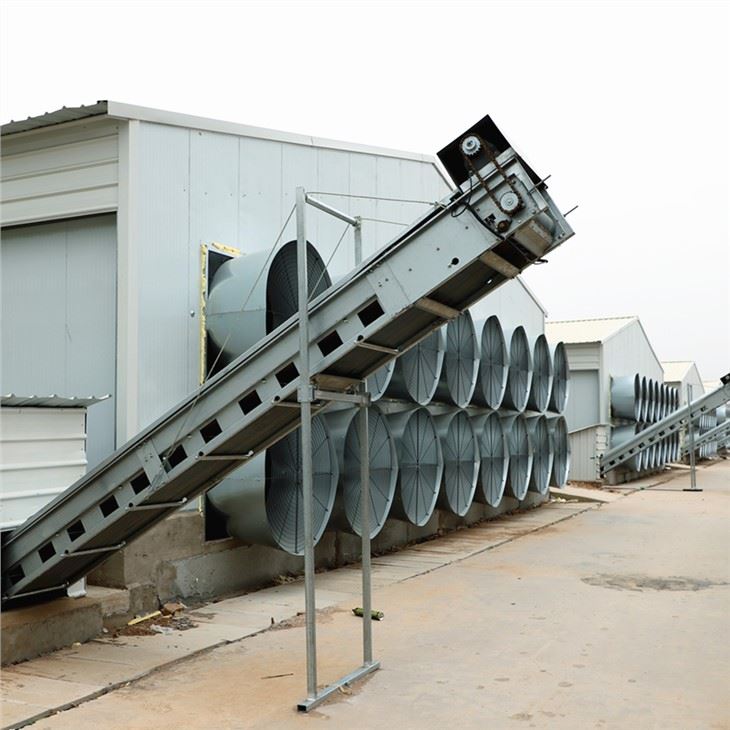 Krásný motýl kužel ventilátor