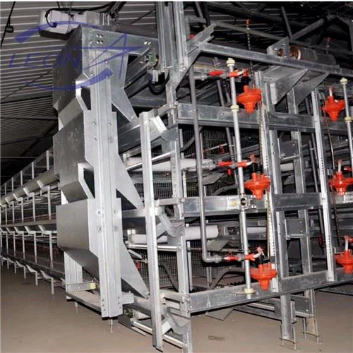 Hot Selling H-Type Broiler Cage