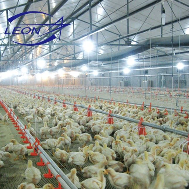 The Latest Model Of Fully Automated Broiler Pan Feeding System in 2021