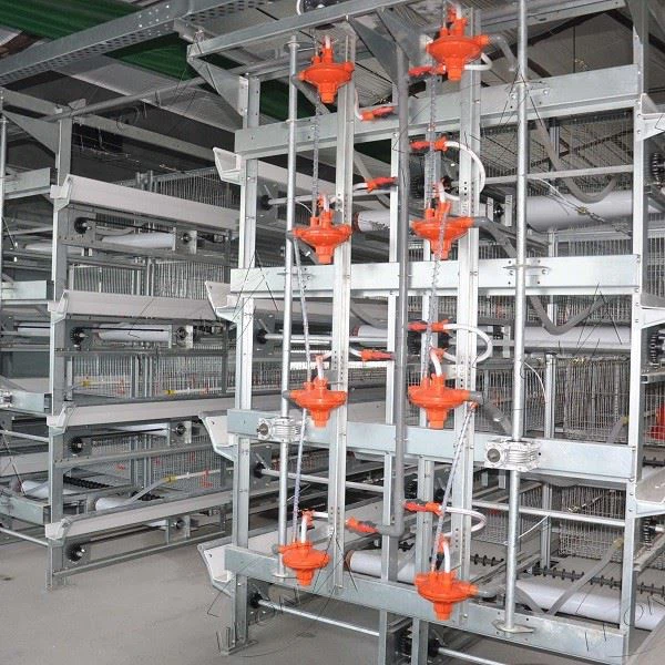 Broiler Chicken Cage Automatic Battery Cage Poultry Farm