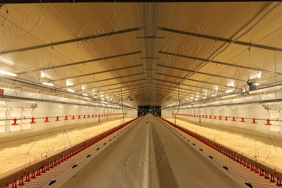 Automatic Breeder Raising System