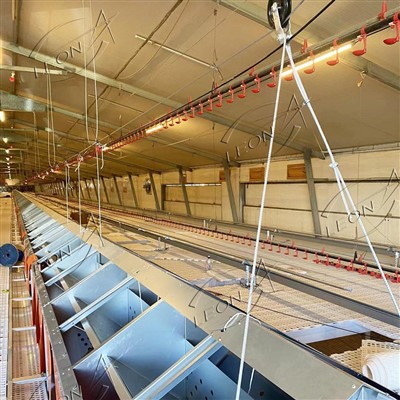 Breeder Hen Automatic Laying Nest Box