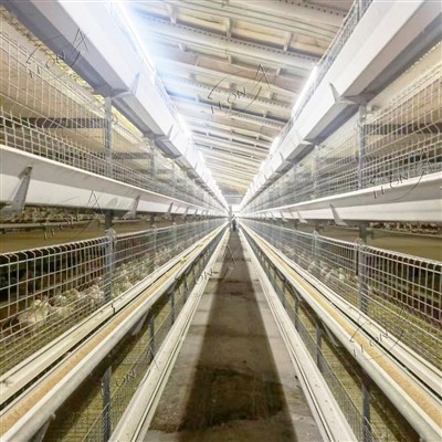 Systém zvyšování klecí pro brojleru drůbeže